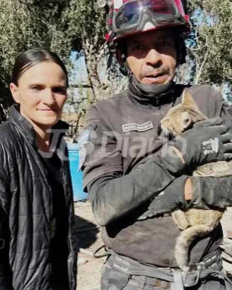 WhatsApp Image 2025-05-24 at 19.55.45