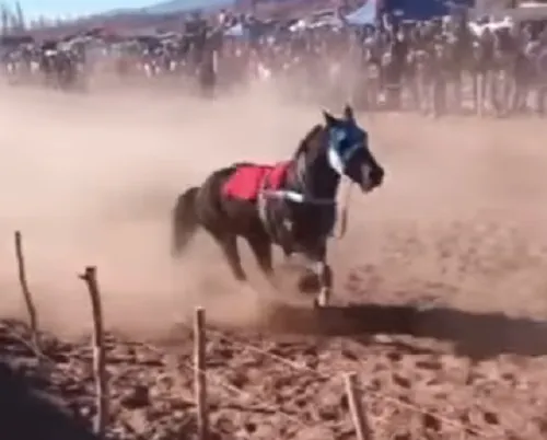 mnajajaaaaaaaaasssssssss