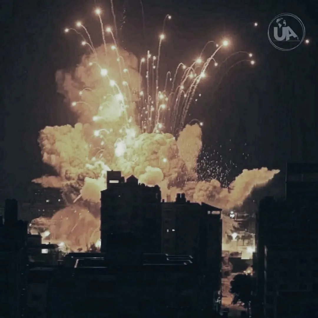 WhatsApp Image 2025-06-19 at 04.00.06