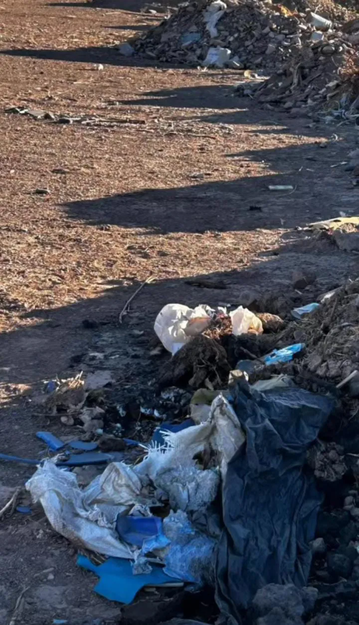 WhatsApp Image 2025-05-06 at 21.11.00