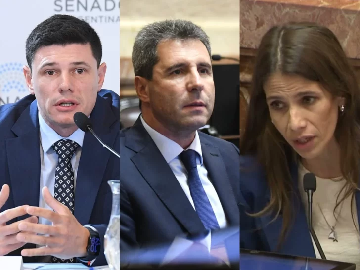 senadores-sanjuaninos-2025-728x546