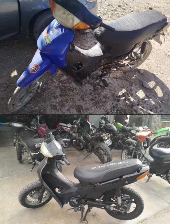 fa8d47d1-ee17-4bb3-976a-98f126fb-554x728