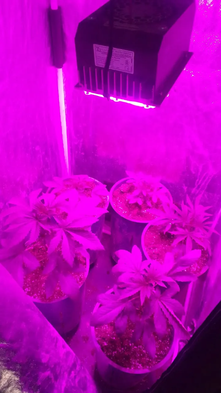 WhatsApp Image 2025-05-08 at 14.47.48