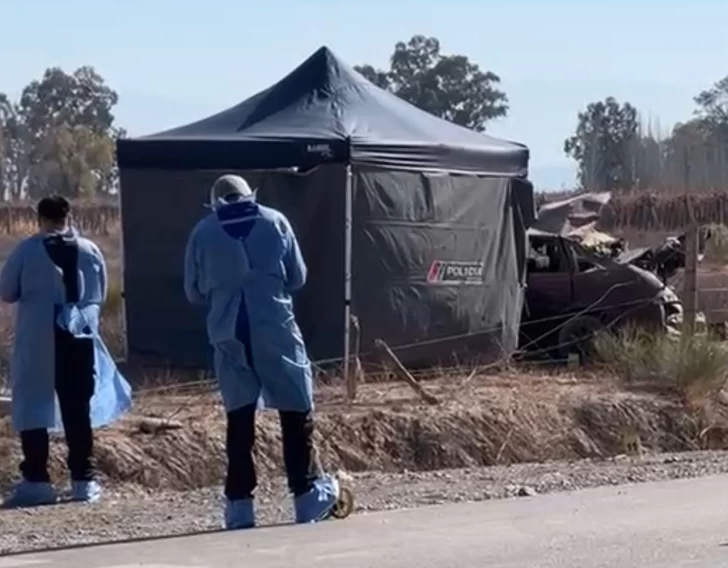 WhatsApp-Image-2025-07-05-at-2.08.53-PM-728x568